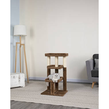 Petco cat outlet stands